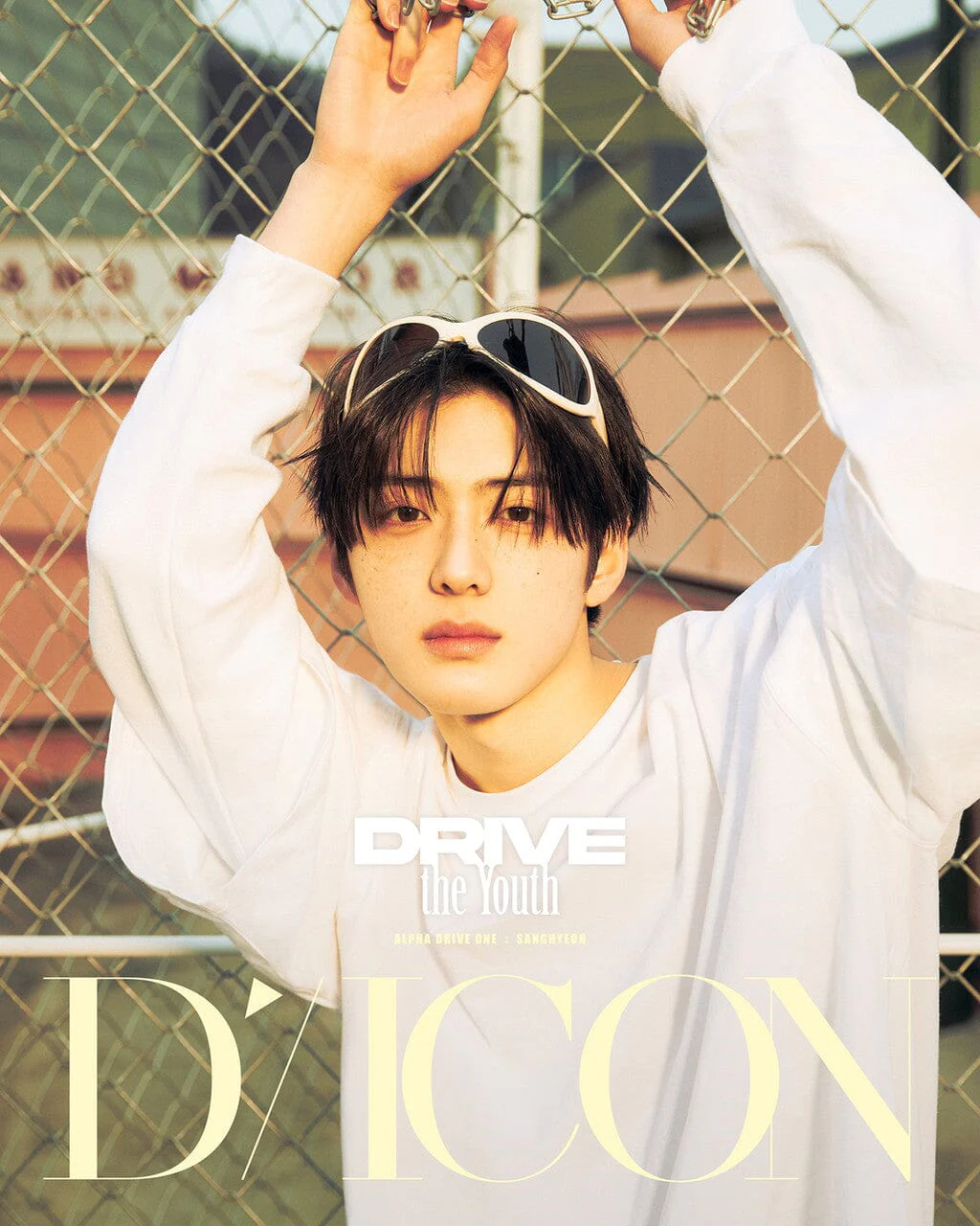 ALPHA DRIVE ONE - DICON VOLUME Nº33 - Image 10
