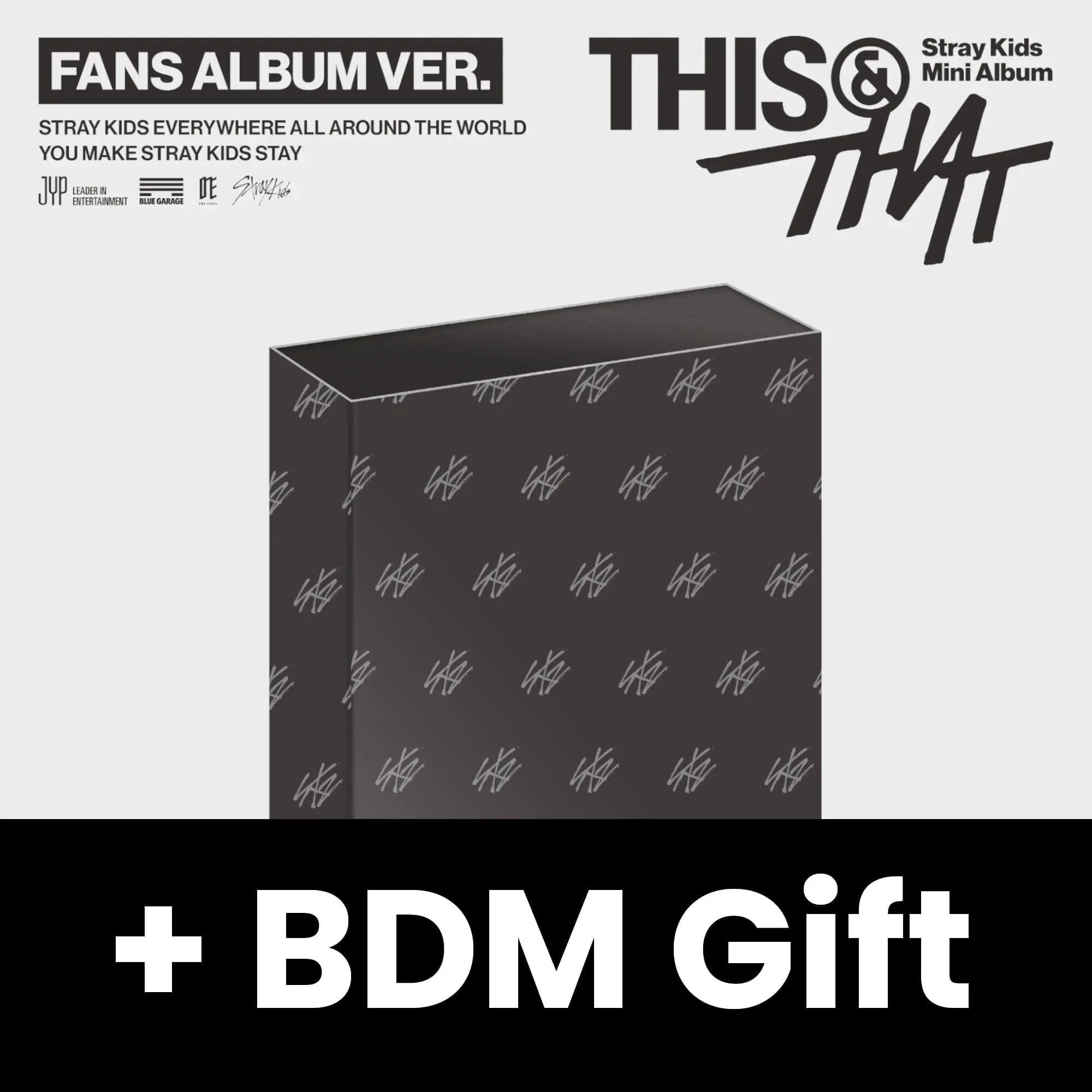STRAY KIDS - THIS & THAT (FANS ALBUM VER.) + BDM Gift