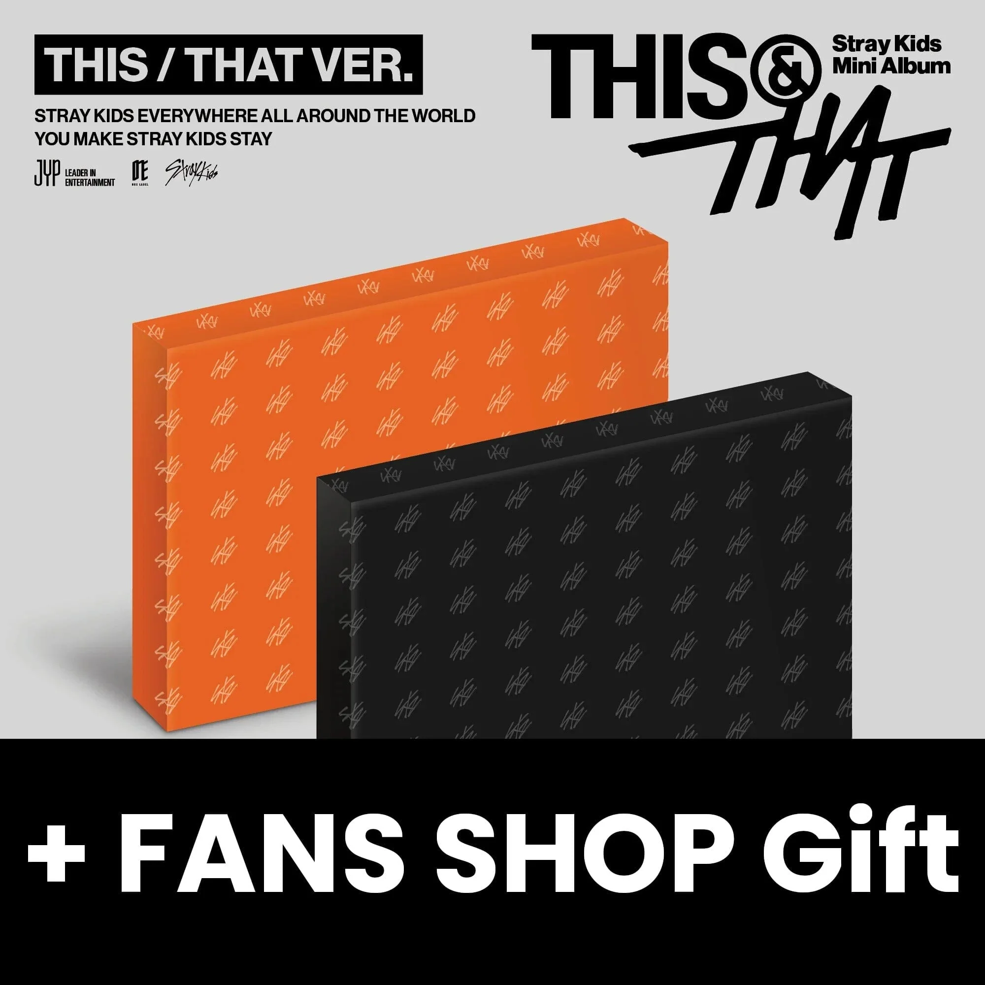 STRAY KIDS - THIS & THAT + FANS SHOP Gift