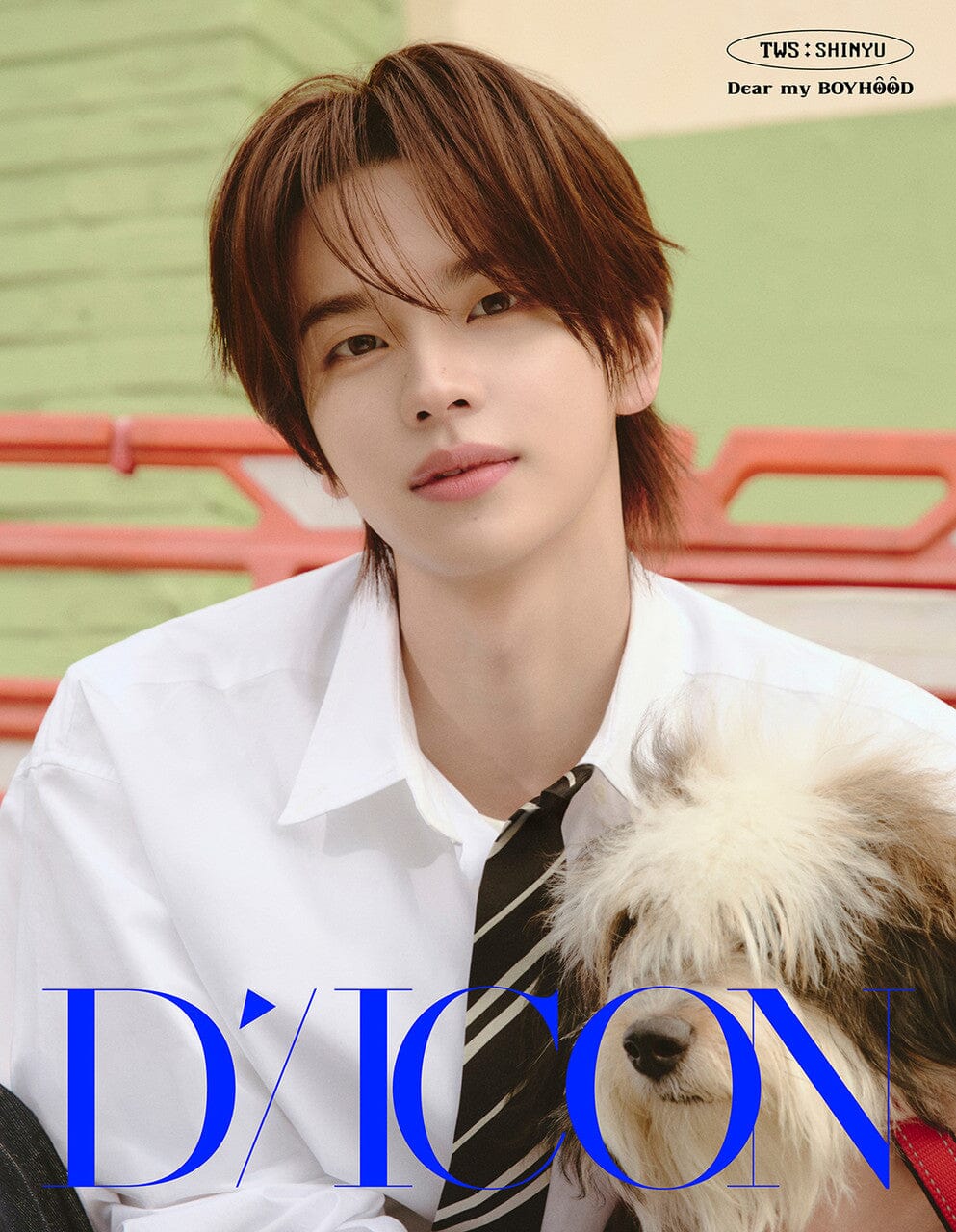 TWS - DICON (VOLUME N°34) - Image 3