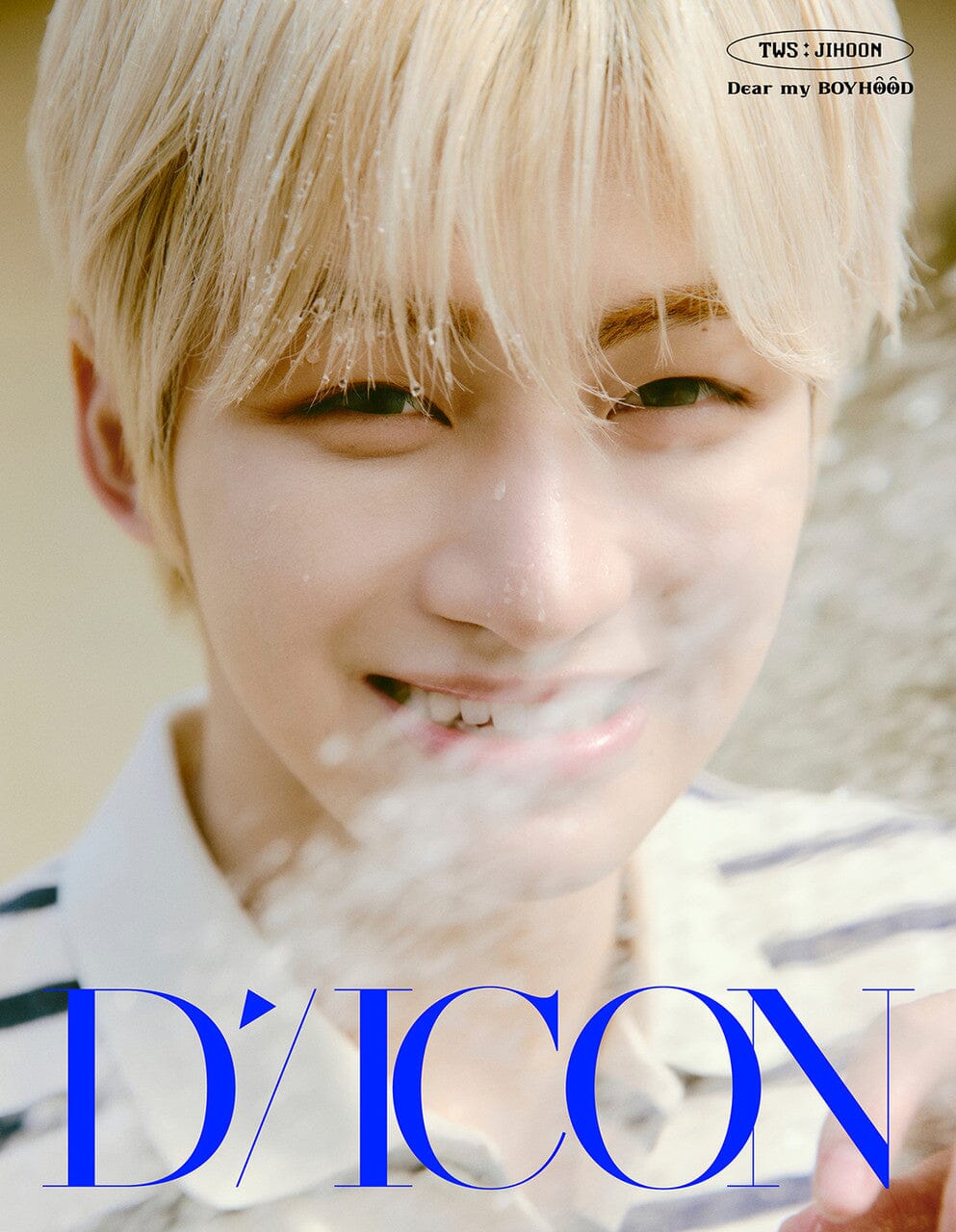 TWS - DICON (VOLUME N°34) - Image 7