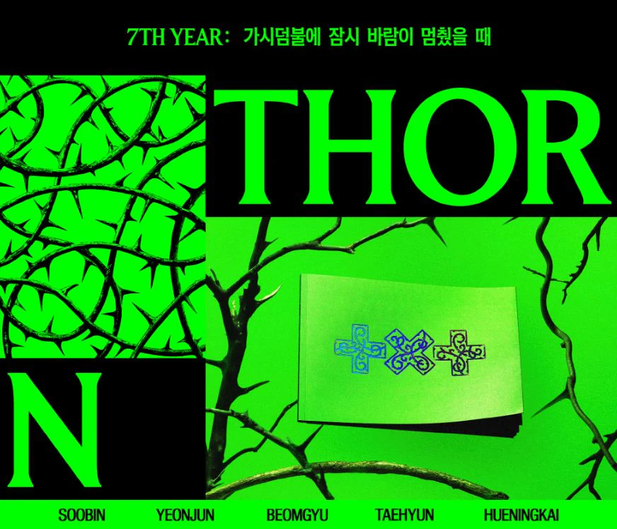 TXT - 7TH YEAR: WHEN THE WIND PAUSED AMONG THE THORNS (THORN VER.) + Aladin Gift - Image 2
