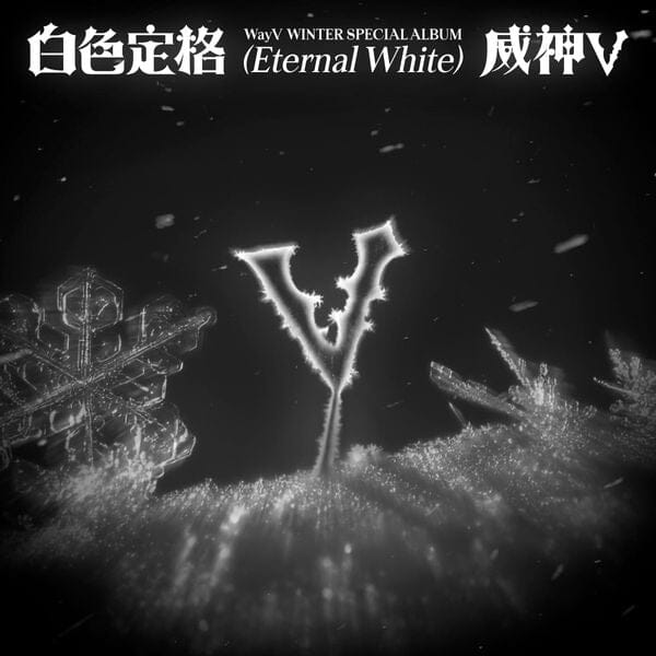 WayV - Winter Special Album [白色定格 (Eternal White)] (Photo Book Ver.) + POB APPLE MUSIC PHOTOCARD